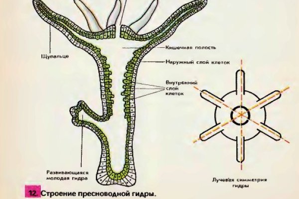 Кракен ссылка маркет