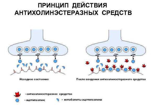 Kraken сайт зеркала